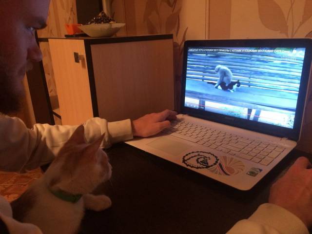 daily picdump 96 pics 28.html - 96 HD Photos | Premium Gallery 2018