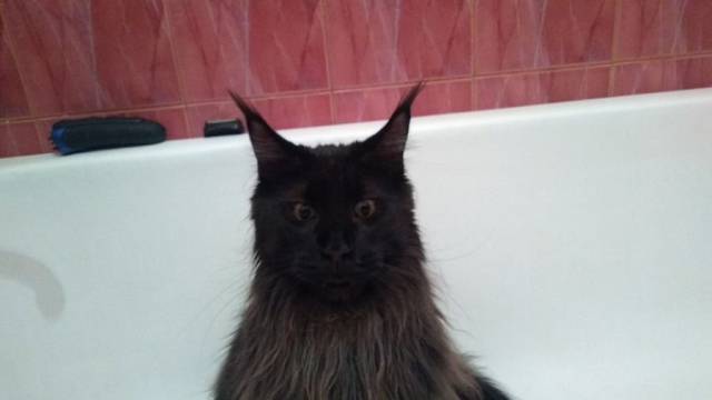 daily picdump 96 pics 28.html - 96 HD Photos | Premium Gallery 2018