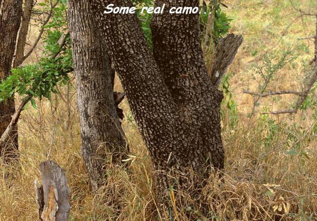 daily picdump 96 pics 28.html - 96 HD Photos | Premium Gallery 2018