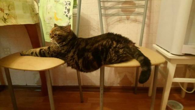 daily picdump 96 pics 28.html - 96 HD Photos | Premium Gallery 2018