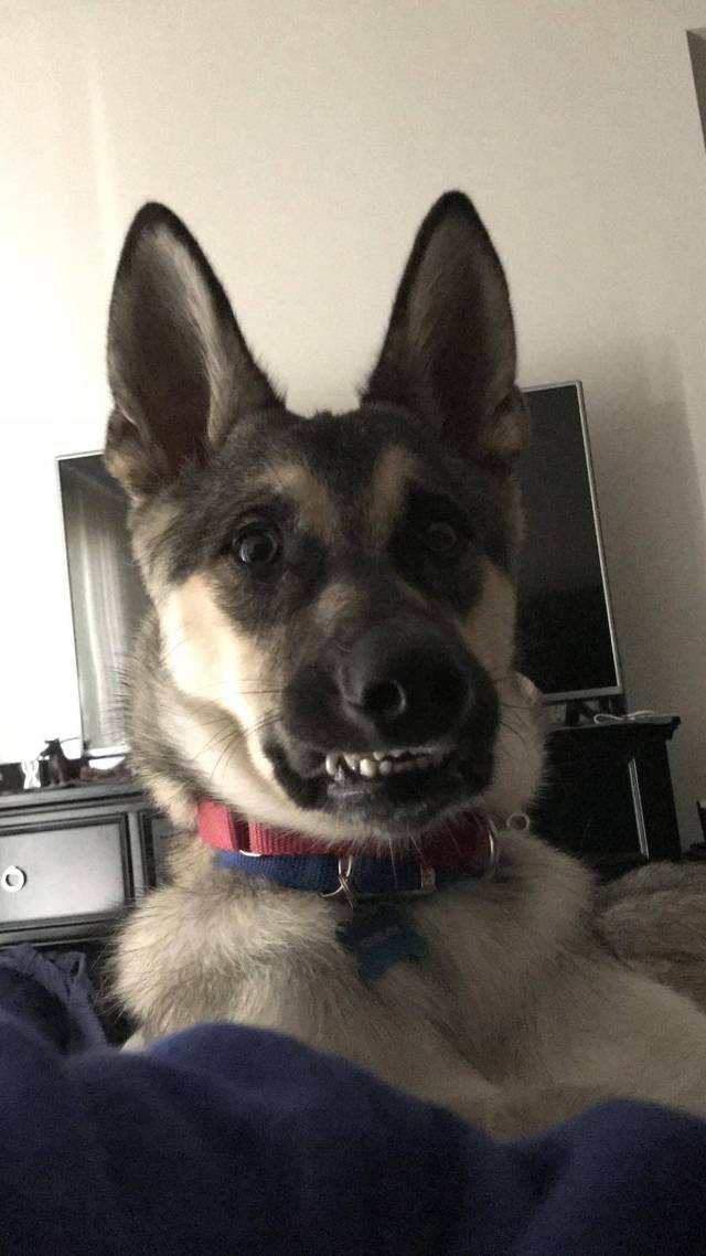 daily picdump 96 pics 28.html - 96 HD Photos | Premium Gallery 2018