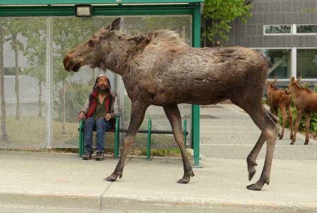 morning picdump 50 pics 20.html - 50 HD Photos | Premium Gallery 2018