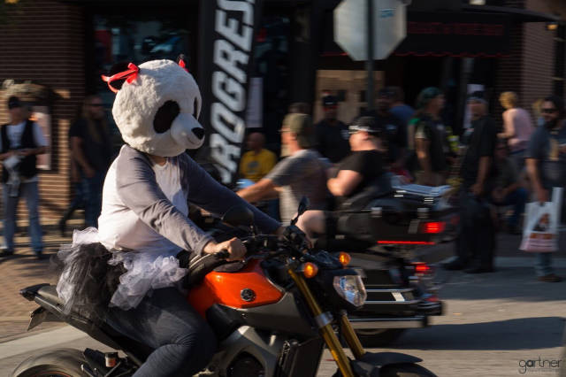 morning picdump 50 pics 20.html - 50 HD Photos | Premium Gallery 2018