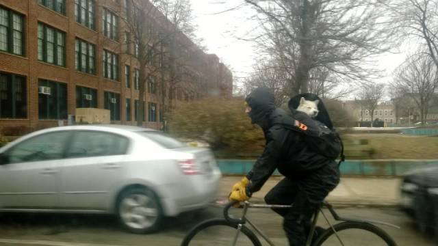 morning picdump 50 pics 20.html - 50 HD Photos | Premium Gallery 2018