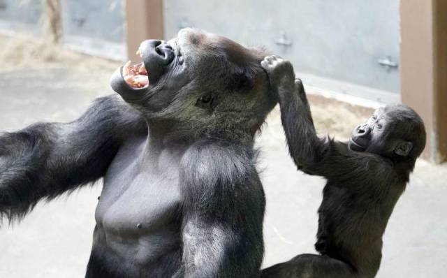 daily picdump 94 pics 27.html - 94 HD Photos | Premium Gallery 2018