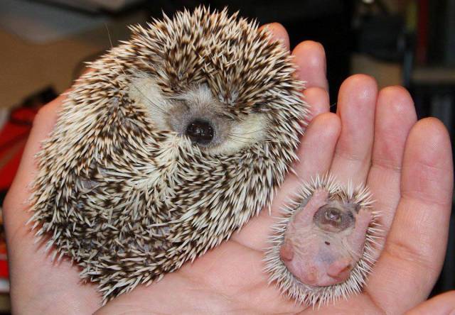 daily picdump 94 pics 27.html - 94 HD Photos | Premium Gallery 2018