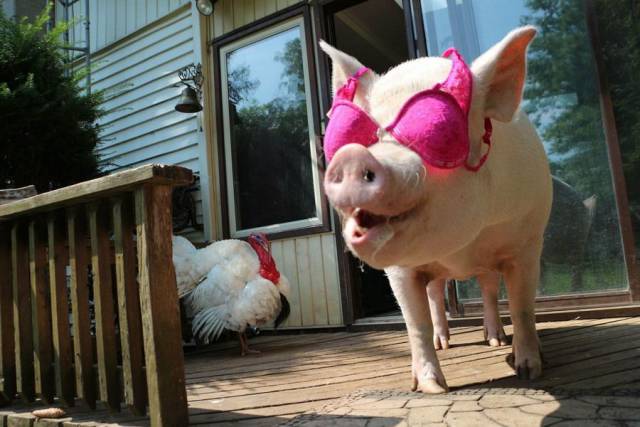 daily picdump 94 pics 27.html - 94 HD Photos | Premium Gallery 2018