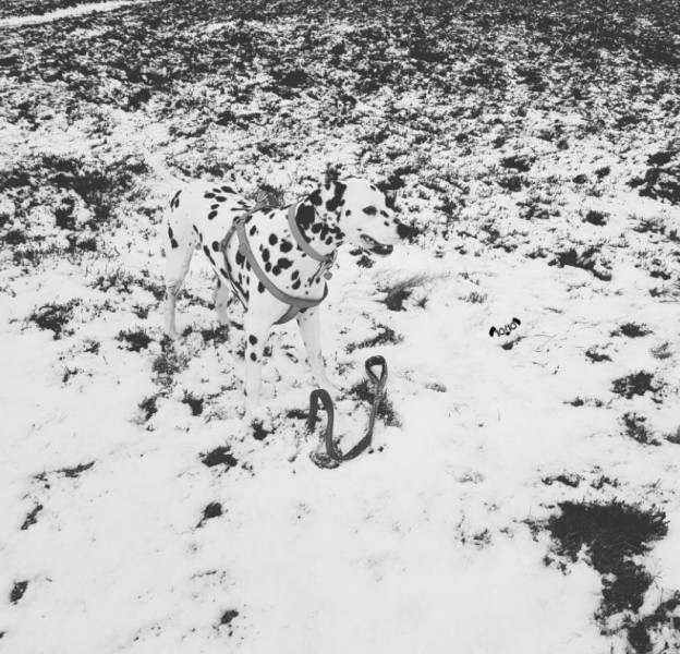 daily picdump 94 pics 27.html - 94 HD Photos | Premium Gallery 2018