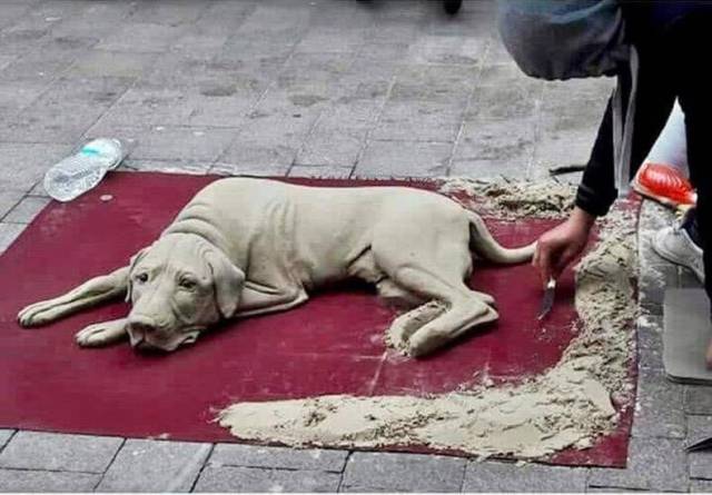 daily picdump 94 pics 27.html - 94 HD Photos | Premium Gallery 2018