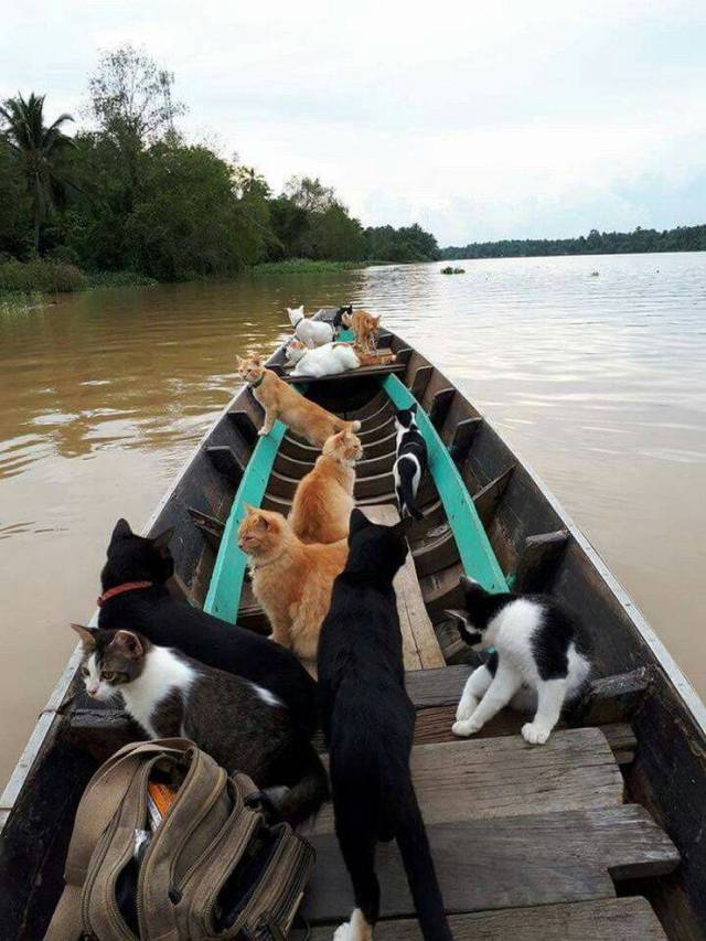 daily picdump 94 pics 27.html - 94 HD Photos | Premium Gallery 2018