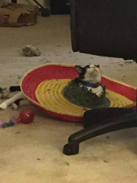 morning picdump 52 pics 17.html - 52 HD Photos | Premium Gallery 2018