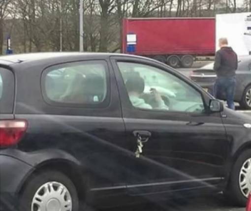 morning picdump 52 pics 17.html - 52 HD Photos | Premium Gallery 2018