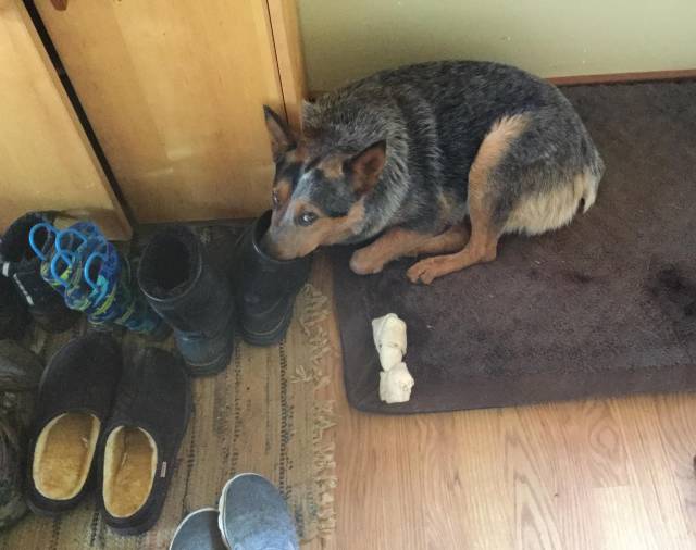 morning picdump 52 pics 17.html - 52 HD Photos | Premium Gallery 2018