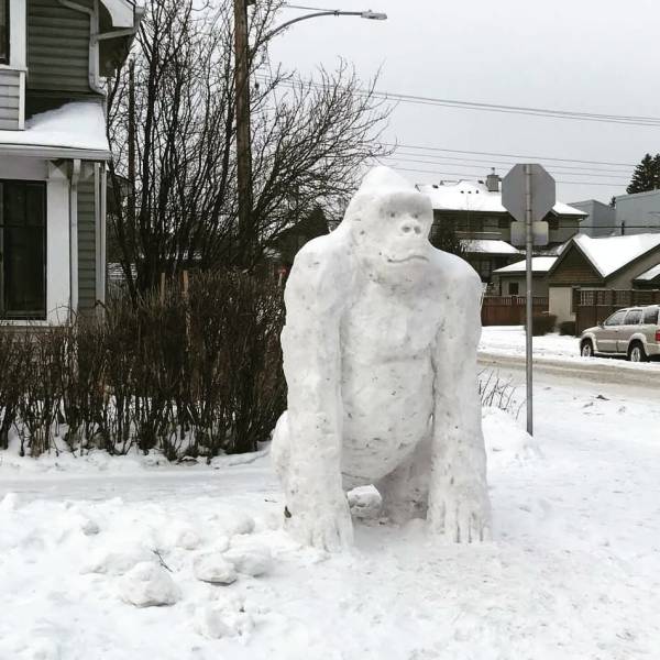 daily picdump 91 pics 8.html - 91 HD Photos | Premium Gallery 2018