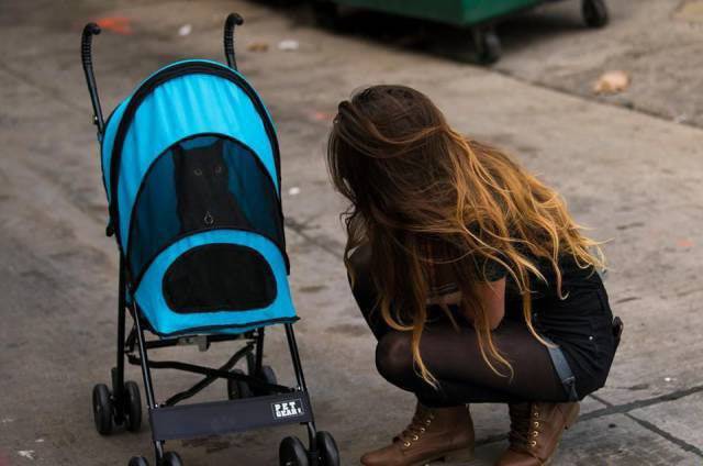 daily picdump 91 pics 8.html - 91 HD Photos | Premium Gallery 2018