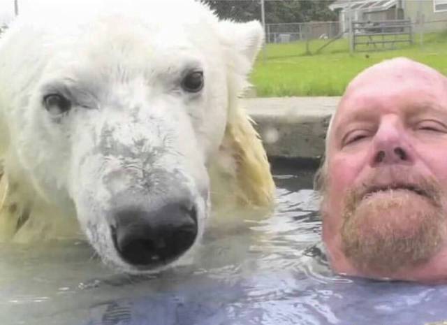 daily picdump 91 pics 8.html - 91 HD Photos | Premium Gallery 2018