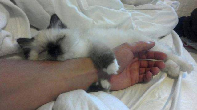 daily picdump 91 pics 8.html - 91 HD Photos | Premium Gallery 2018