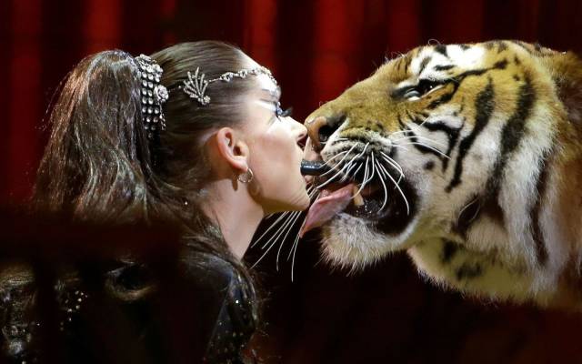 daily picdump 91 pics 8.html - 91 HD Photos | Premium Gallery 2018