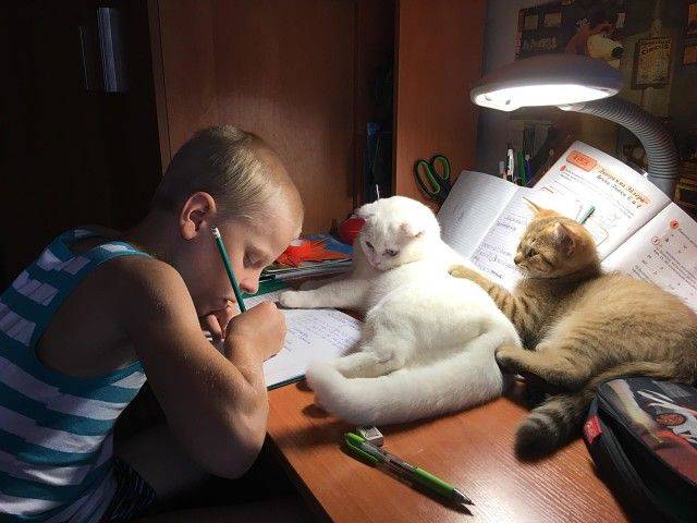 daily picdump 91 pics 8.html - 91 HD Photos | Premium Gallery 2018