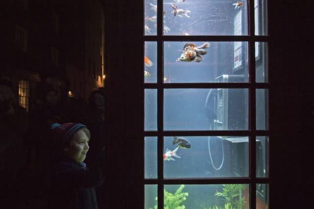 daily picdump 91 pics 8.html - 91 HD Photos | Premium Gallery 2018