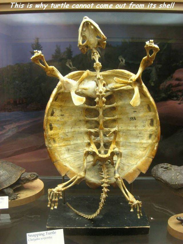 daily picdump 91 pics 8.html - 91 HD Photos | Premium Gallery 2018