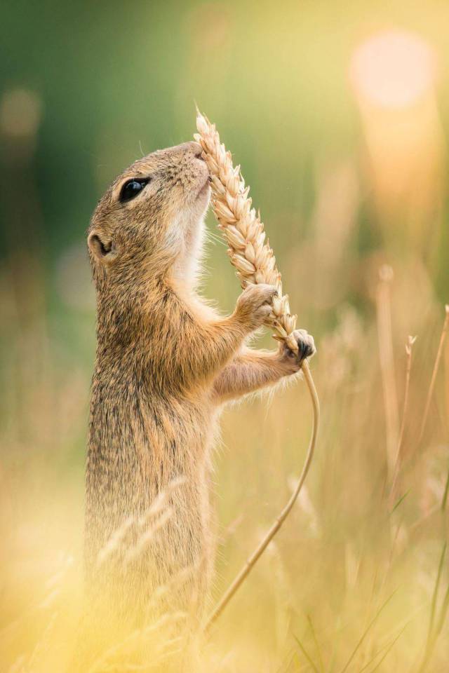 daily picdump 91 pics 8.html - 91 HD Photos | Premium Gallery 2018