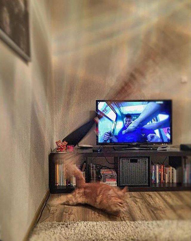 daily picdump 91 pics 8.html - 91 HD Photos | Premium Gallery 2018