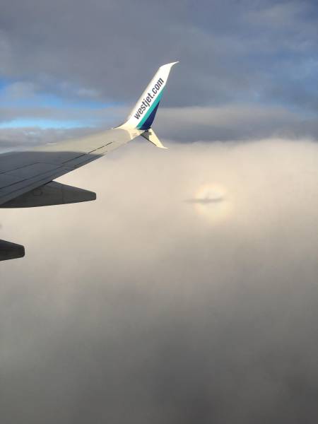 morning picdump 51 pics 10.html - 51 HD Photos | Premium Gallery 2018