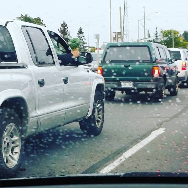 morning picdump 51 pics 10.html - 51 HD Photos | Premium Gallery 2018