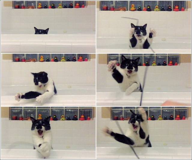 daily picdump 99 pics 12.html - 99 HD Photos | Premium Gallery 2018