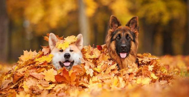 daily picdump 99 pics 12.html - 99 HD Photos | Premium Gallery 2018