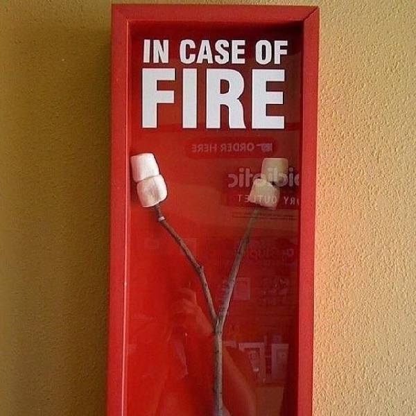 daily picdump 99 pics 12.html - 99 HD Photos | Premium Gallery 2018