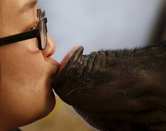 daily picdump 99 pics 12.html - 99 HD Photos | Premium Gallery 2018