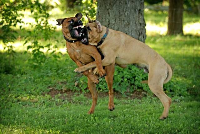 daily picdump 99 pics 12.html - 99 HD Photos | Premium Gallery 2018