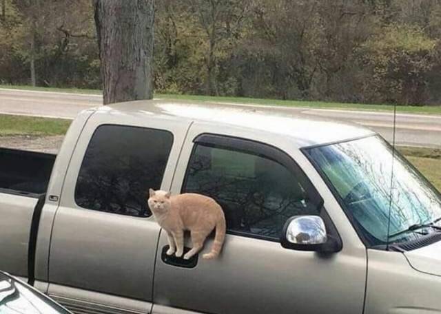 daily picdump 99 pics 12.html - 99 HD Photos | Premium Gallery 2018