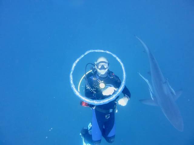 daily picdump 99 pics 12.html - 99 HD Photos | Premium Gallery 2018