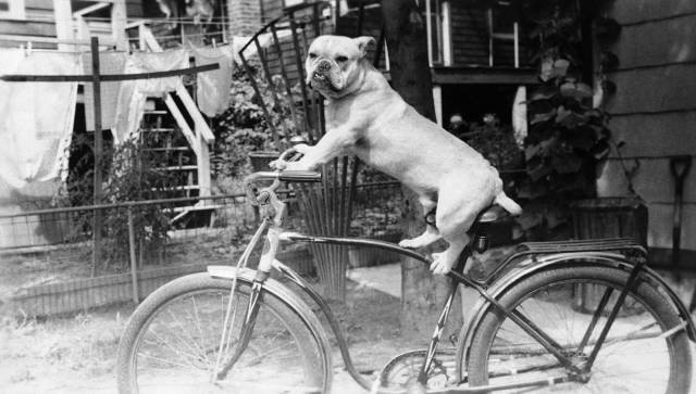 daily picdump 99 pics 12.html - 99 HD Photos | Premium Gallery 2018