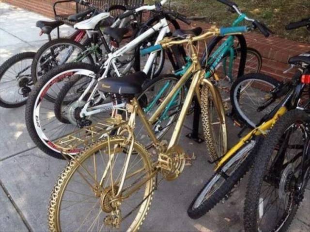 daily picdump 99 pics 12.html - 99 HD Photos | Premium Gallery 2018