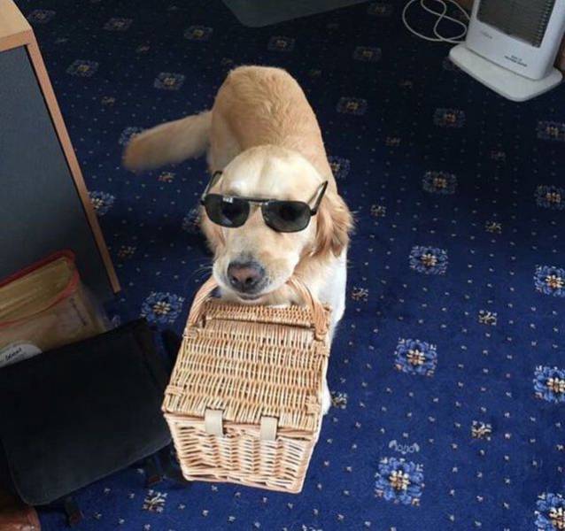 daily picdump 99 pics 12.html - 99 HD Photos | Premium Gallery 2018