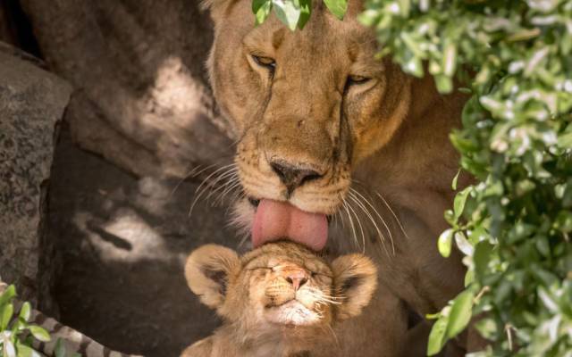 daily picdump 99 pics 12.html - 99 HD Photos | Premium Gallery 2018