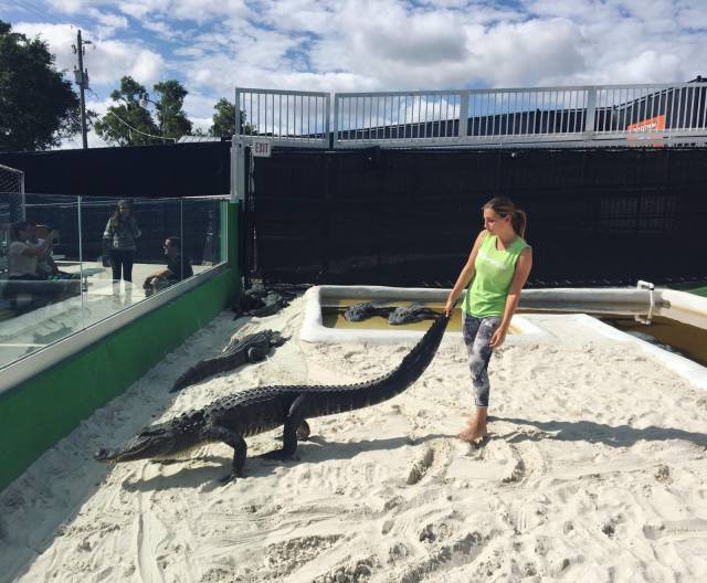 daily picdump 99 pics 12.html - 99 HD Photos | Premium Gallery 2018