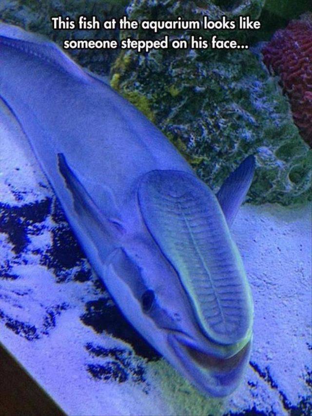 daily picdump 99 pics 12.html - 99 HD Photos | Premium Gallery 2018