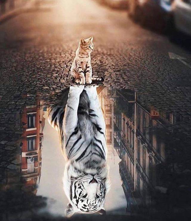 daily picdump 99 pics 12.html - 99 HD Photos | Premium Gallery 2018