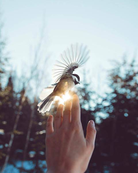 morning picdump 50 pics 15.html - 50 HD Photos | Premium Gallery 2018