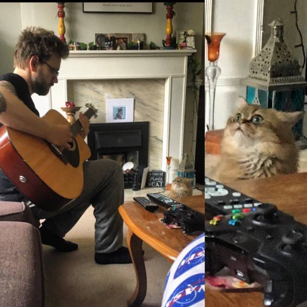 morning picdump 50 pics 15.html - 50 HD Photos | Premium Gallery 2018