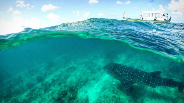 morning picdump 50 pics 15.html - 50 HD Photos | Premium Gallery 2018