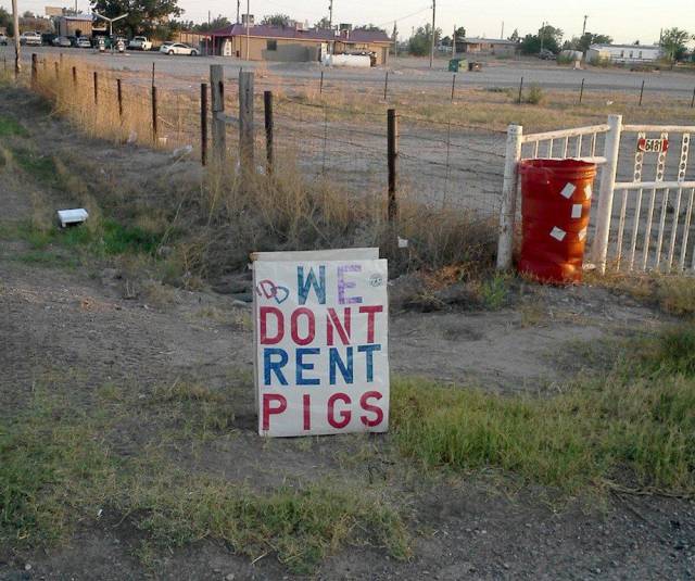 daily picdump weekend edition 67 pics 25.html - 67 HD Photos | Premium Gallery 2018