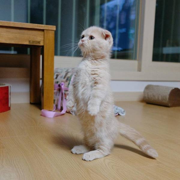 daily picdump weekend edition 67 pics 25.html - 67 HD Photos | Premium Gallery 2018