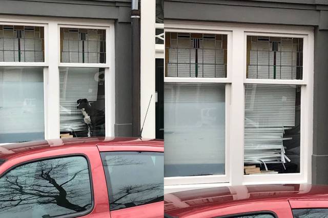 daily picdump weekend edition 67 pics 25.html - 67 HD Photos | Premium Gallery 2018