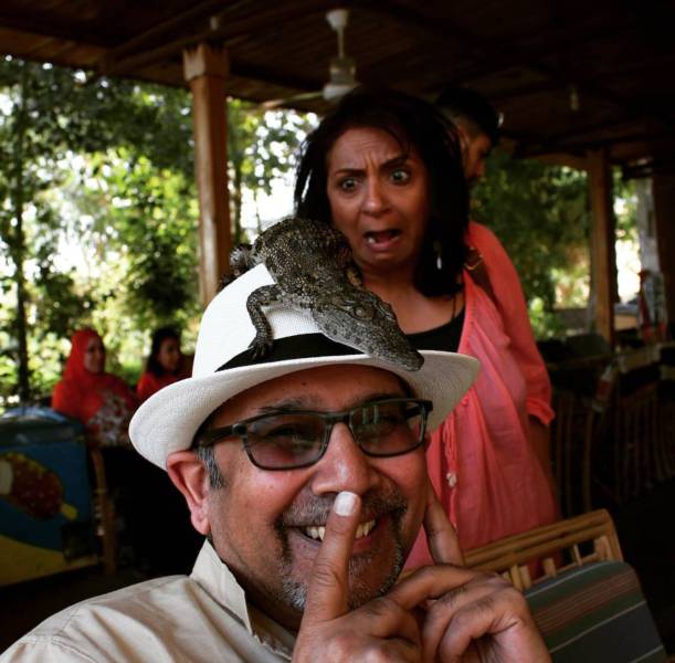 daily picdump weekend edition 67 pics 25.html - 67 HD Photos | Premium Gallery 2018